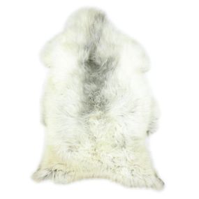 White, grey-blue sheepskin of the Blue Texel - Online webshop - Buy exclusive sheepskin