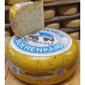 Wezenspyk-Brennnessel-Käse-texel