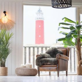 Dunkles grünes Lammfell - Texel Schafsfell Stuhl - online kaufen - kleines Schafsfell grün